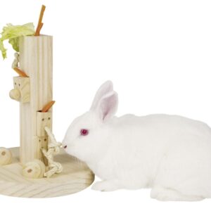 weißes Kaninchen sitzend vor Futterkonstruktion