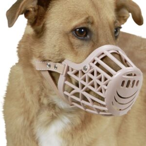 hellbrauner Hundekopf mit Maulkorb Kunststoff