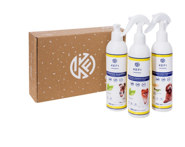 Szampon i odżywka dla psa oraz spray regeneracyjny do rozczesywania włosów dla psów -zestaw KEFI ANIMALS BOX Everydog 3in1. Kupuj w zooplo.pl