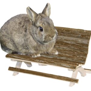 graues Kaninchen sitzend auf hölzernen Bank