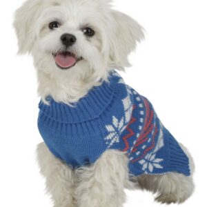 Hund mit Pullover