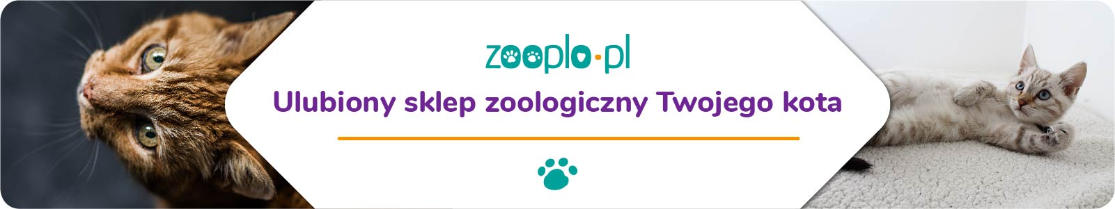 Nowości w zooplo.pl, nowe produkty dla Twojego kota