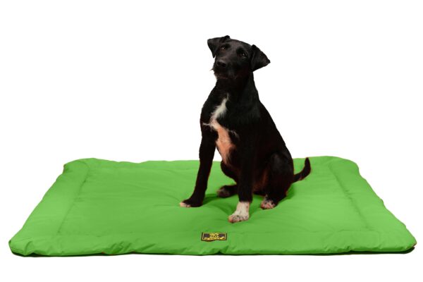 PETLOVE Mata uniwersalna wodoodporna dla psa zielona 102x88cm