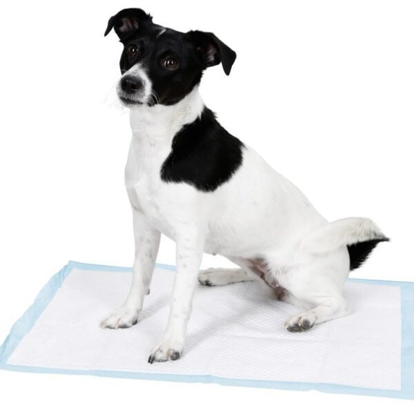 KERBL Mata szkoleniowa do nauki sikania dla psa 60x45cm, przeznaczona do nauki czystości dla szczeniąt, a także dla starszych psów